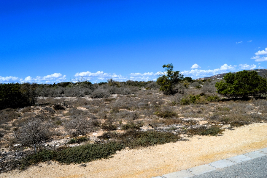 0 Bedroom Property for Sale in Shelley Point Western Cape